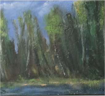 aspens and pines by the lake